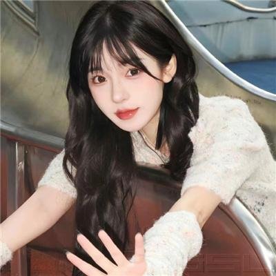 卧底费瑞的故事